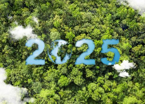 2025